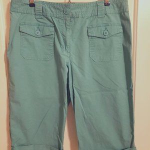 Style & Co size 14 Aqua Bermuda Shorts